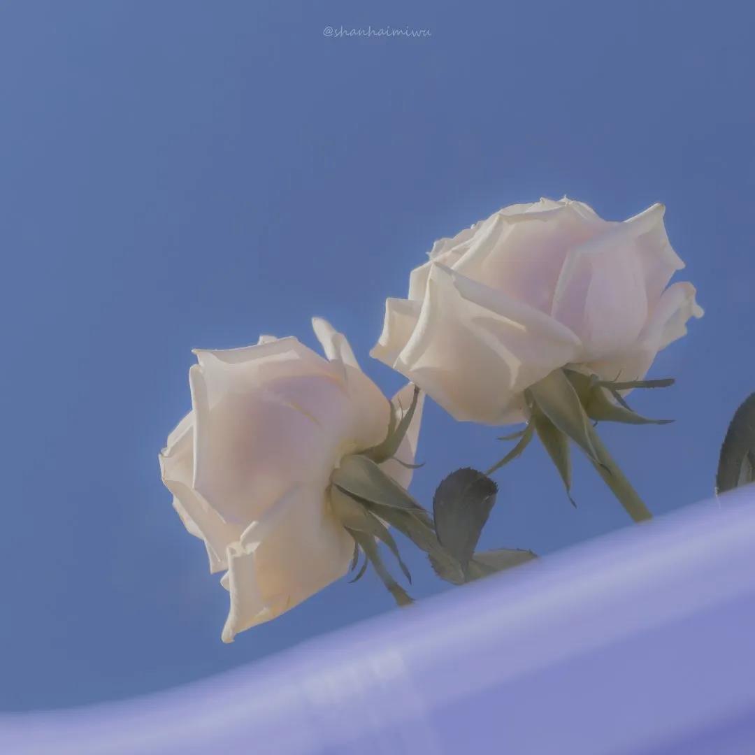 好看的微信朋友圈背景图无水印的,大家一起分享一下!