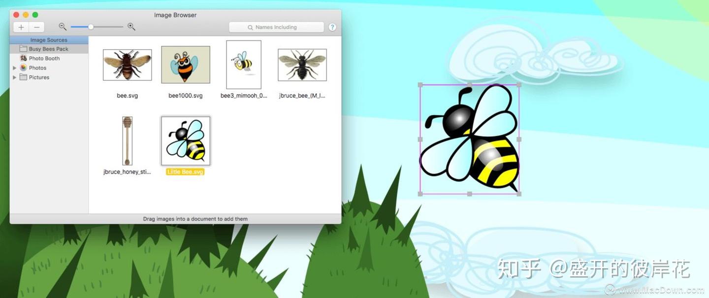 Artboard for Mac(矢量图形设计软件) - 知乎