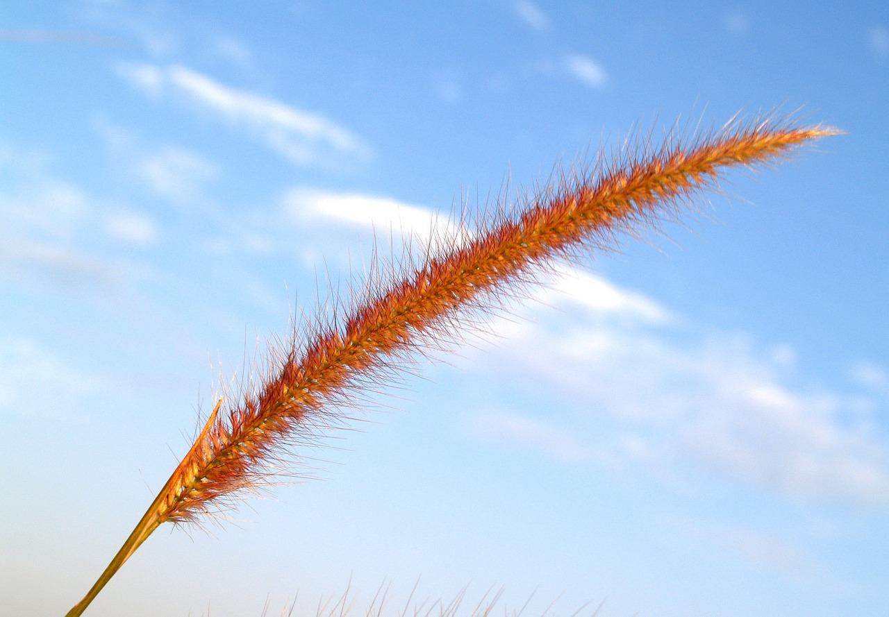 卧室梁如何弱化