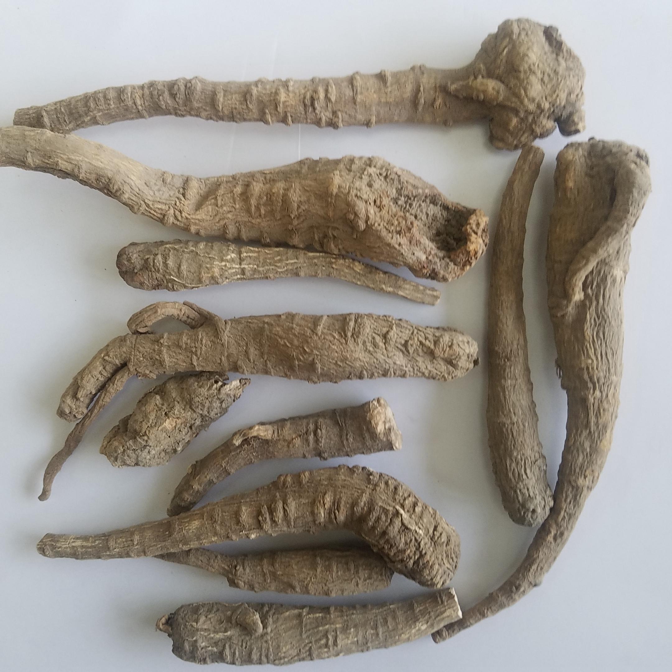 白芷有什么药用功效?