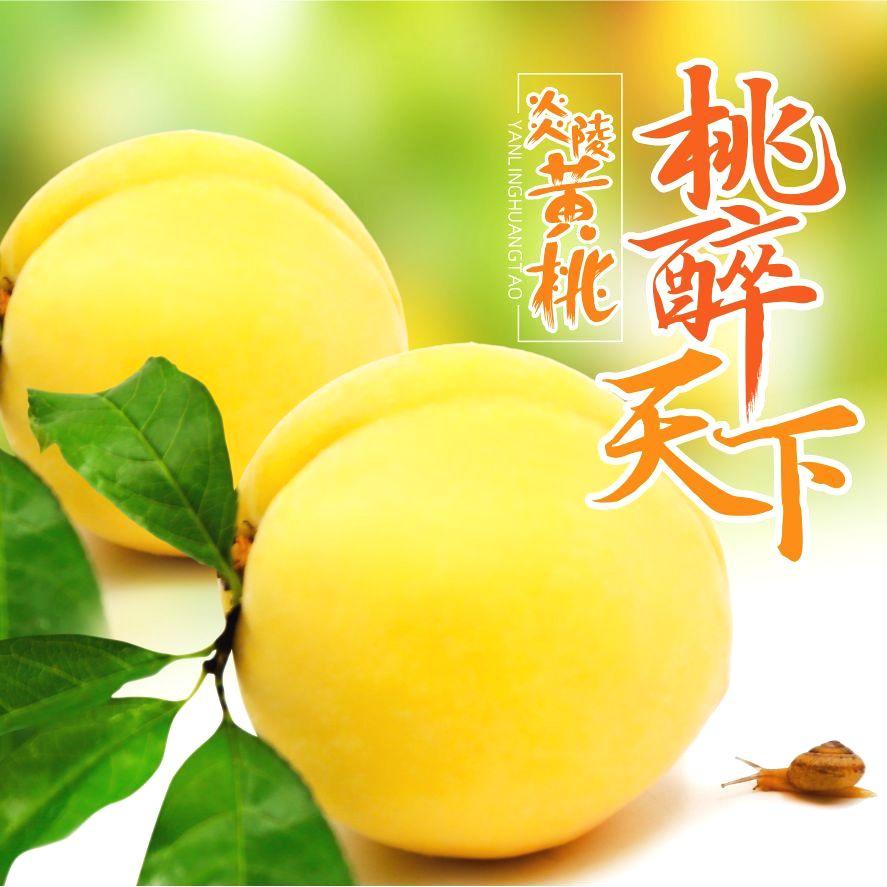 一次品味 十分 陶 醉 炎陵黄桃 知乎