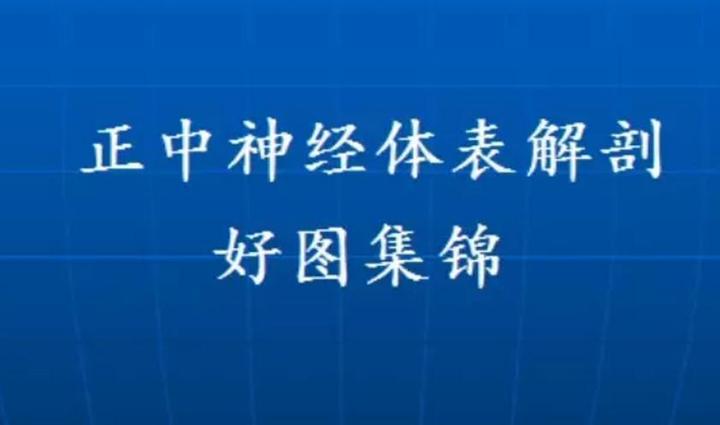 正中神经相关(体表)解剖好图集锦 - 知乎