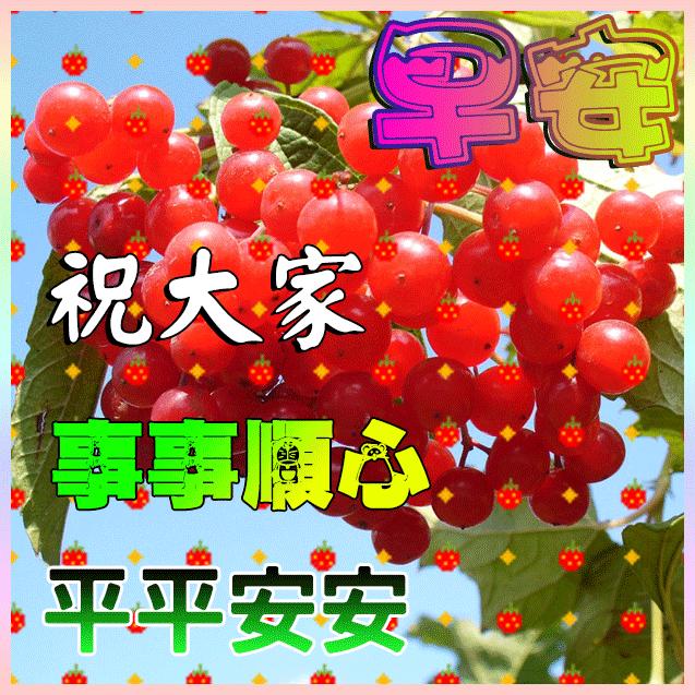 3月最新版群发早晨好问候祝福图片 2022春天最美早上好动画祝福带字表情图片大全