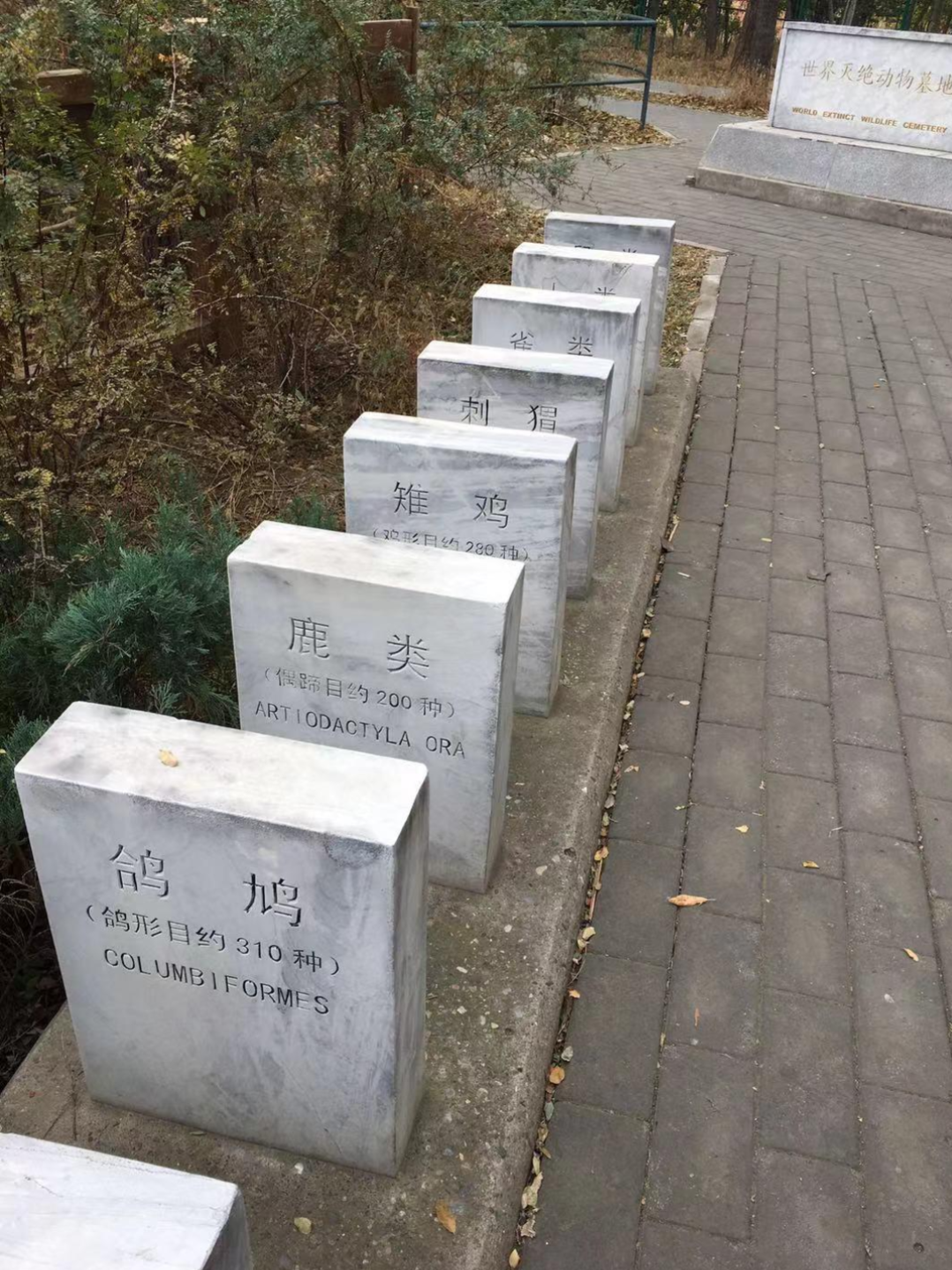 北京游记南海子麋鹿苑麋鹿自然保护区灭绝动物墓地