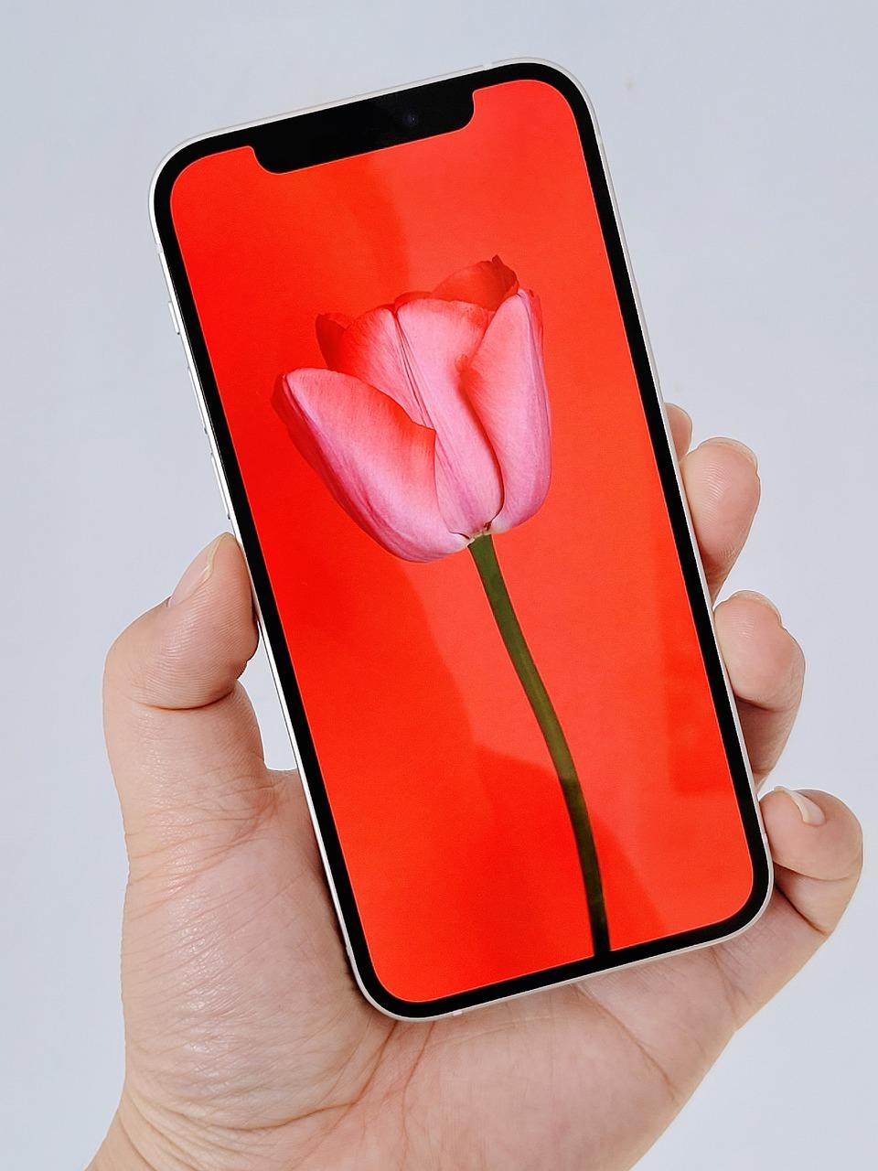 3. 贴膜前准备工具