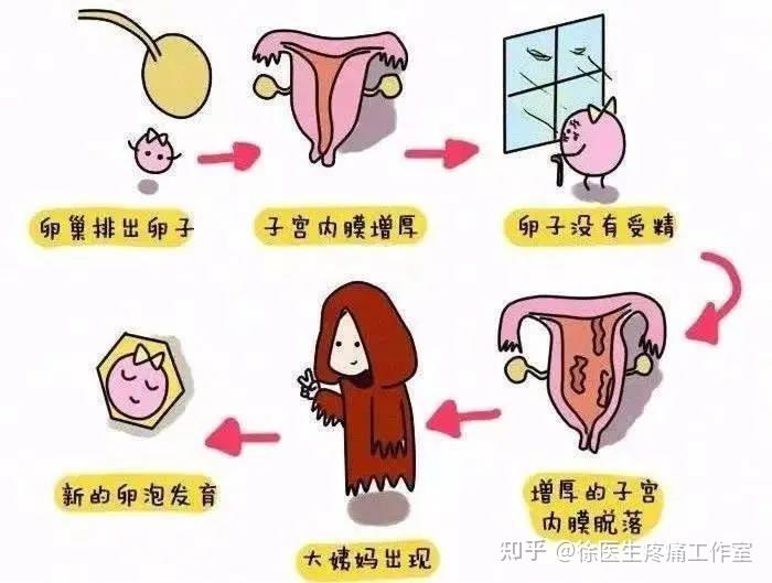 经血排不干净?看这4种变化! - 知乎