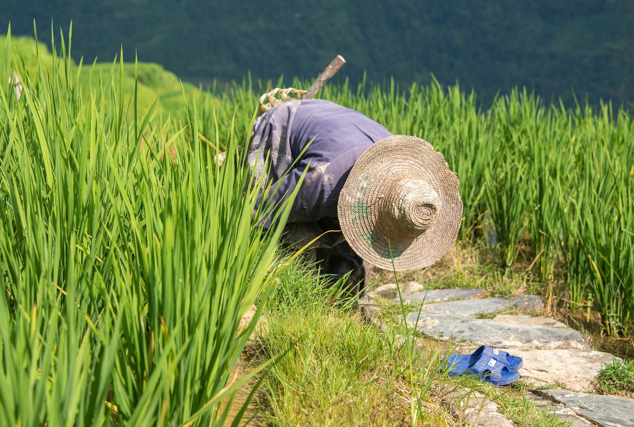 2. 桂林彩礼标准