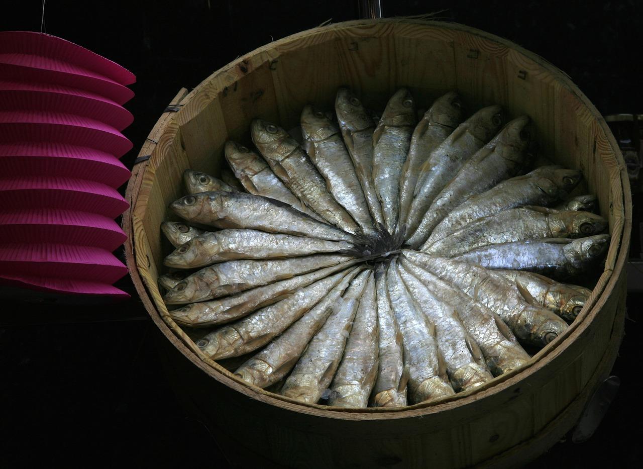 4. 黄蟮钩实体店