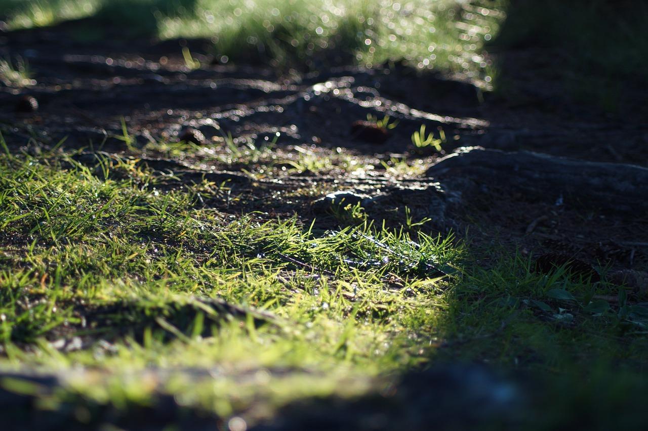 2. 太阳管成本分析