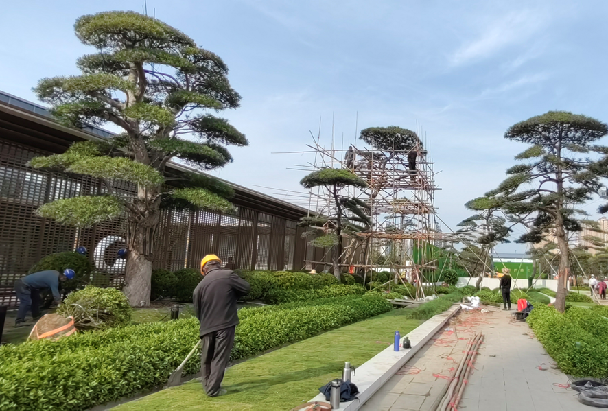 六大创新植物设计案例,编织都市生态空间新纪元 | 栖地设计 - 知乎