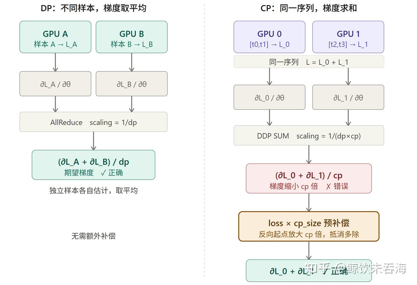 Megatron 源码走读：Context Parallel 初始化、数据流与梯度基线 - 知乎