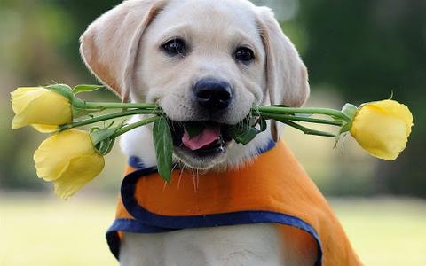 win10 关闭 135 RPC 端口 - 知乎