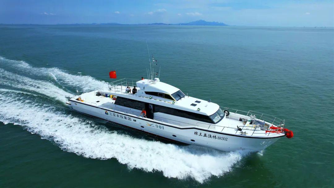 金牙楼　大金を手にする強力な金運上昇　中国富豪の秘宝　曰く付き　S2-6 SEP起重機船吊り上げ能力ランキング【世界TOP8】