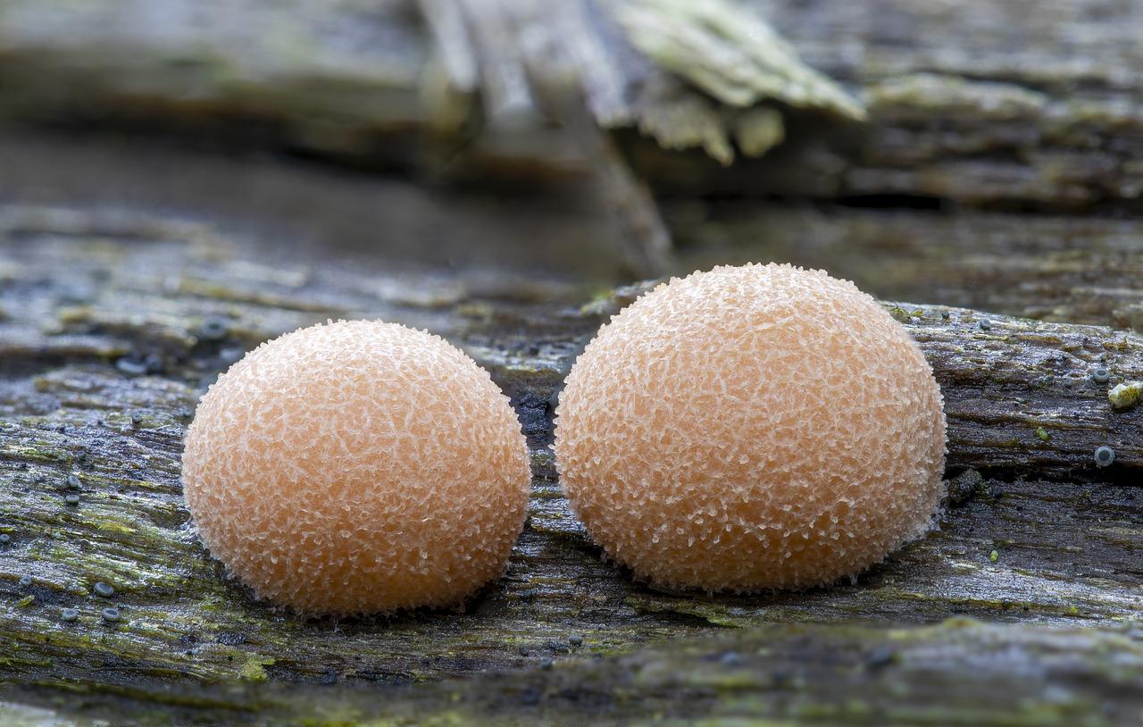 4. 微断额定电流