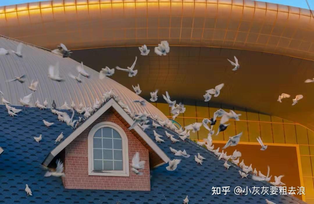 烟台出行旅游攻略:这座浪漫又小众的城市我爱了