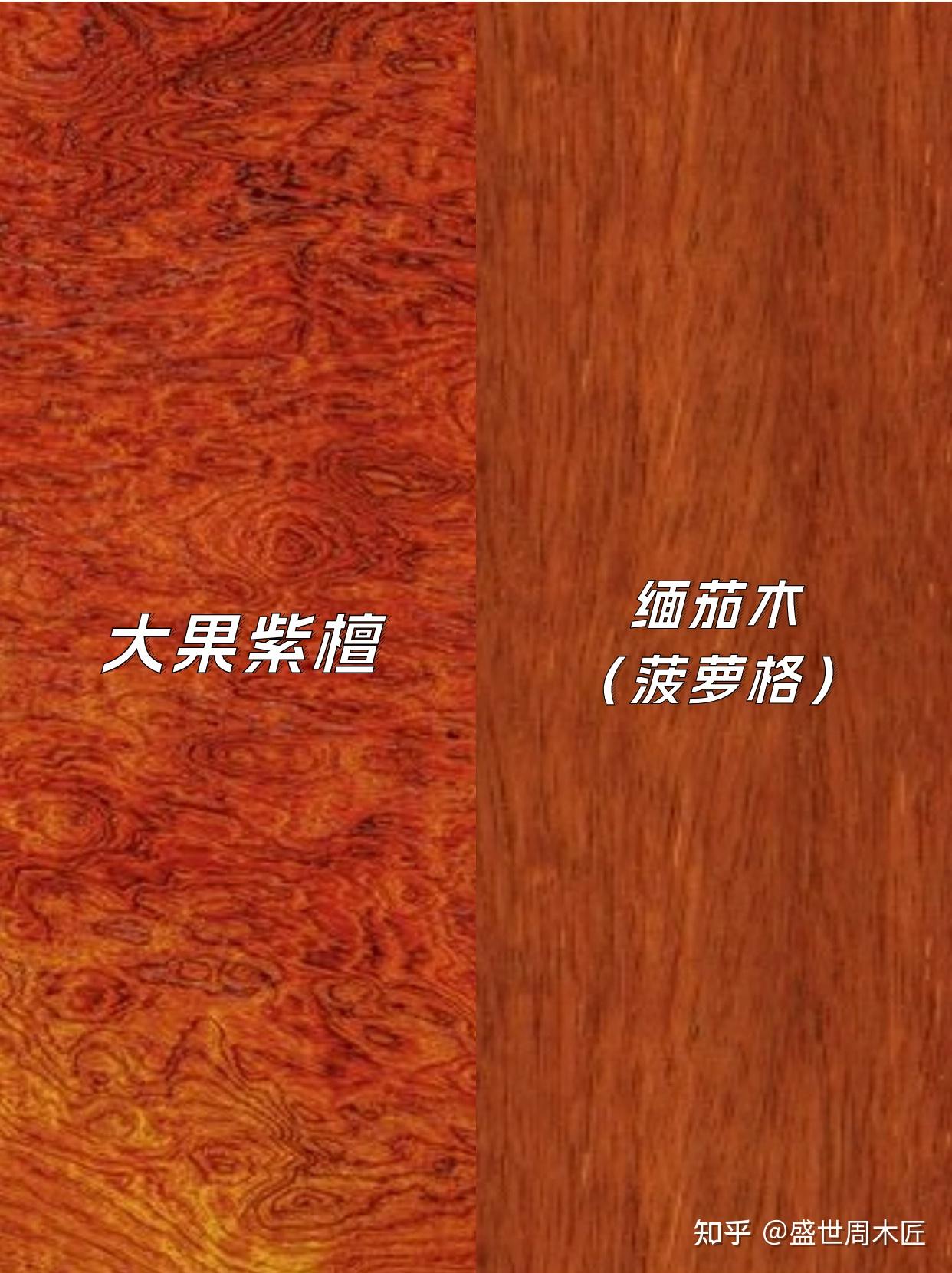 大果紫檀常见骗局 - 知乎