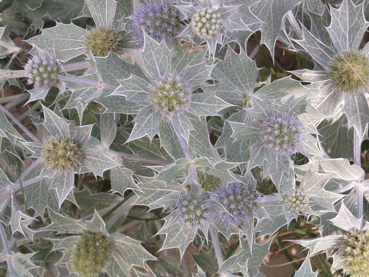 4. 橄榄城购房优惠