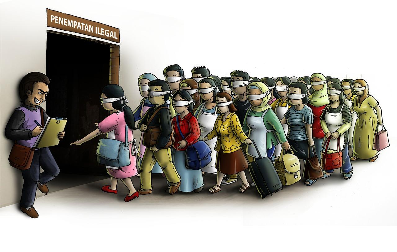 偷运木材什么罪