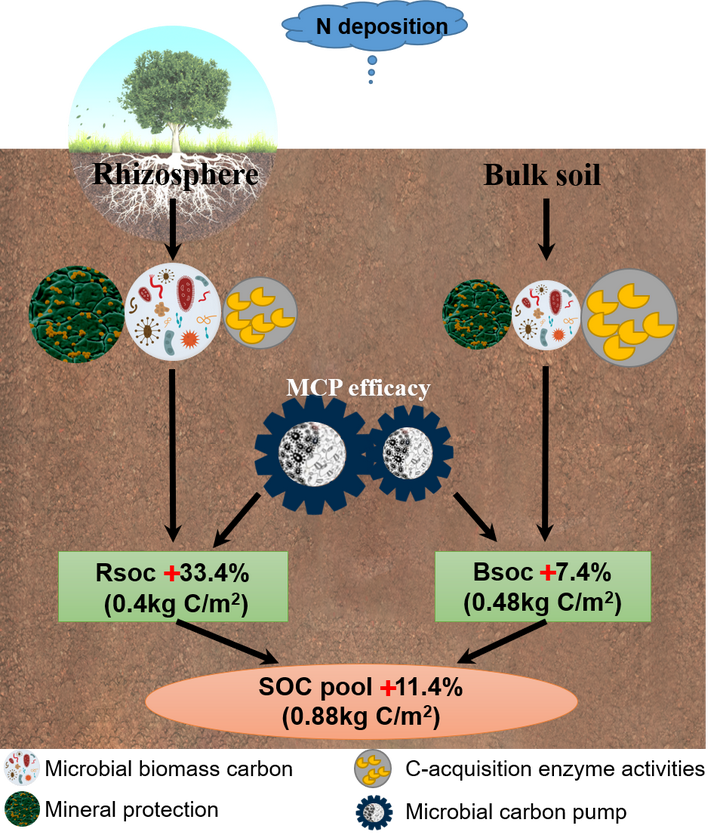 氮沉降对微生物养分限制影响的研究 - 知乎
