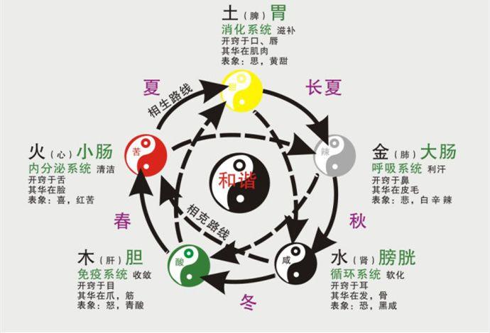 一文读懂五行学说 - 知乎