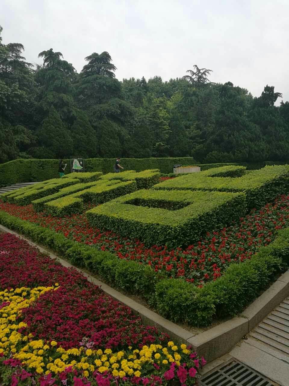 怎么看南京市雨花台功德园直播代扫墓这件事