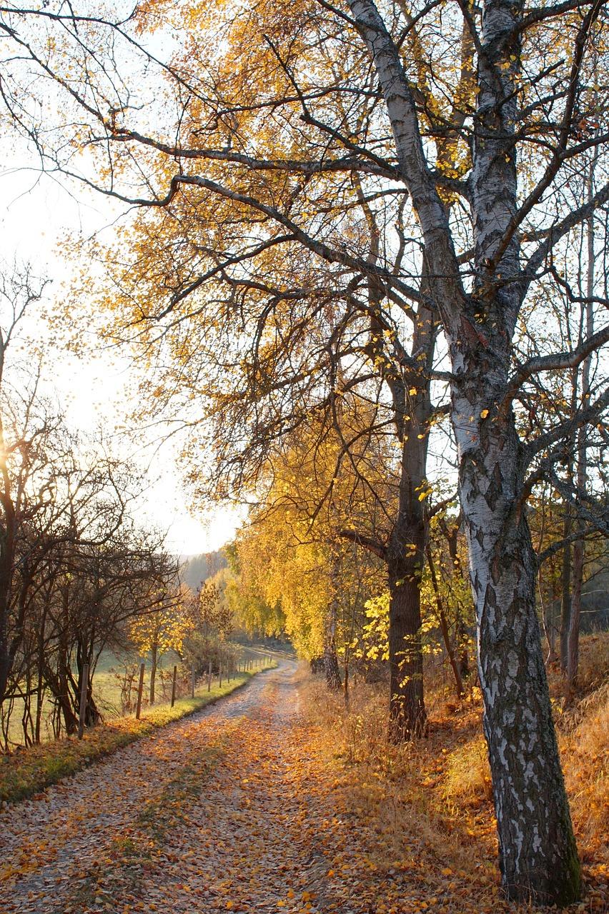 2. 桂园平层面积