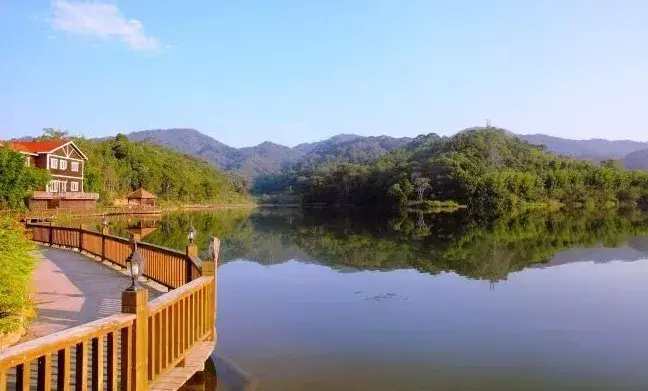 说不定你的家盐就产自这里!乐东,一个了解后会深深爱上的城市 - 知乎