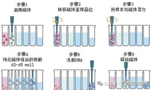 RNA提取方法对比,Trizol法、磁珠法、离心柱法到底该怎么选? - 知乎