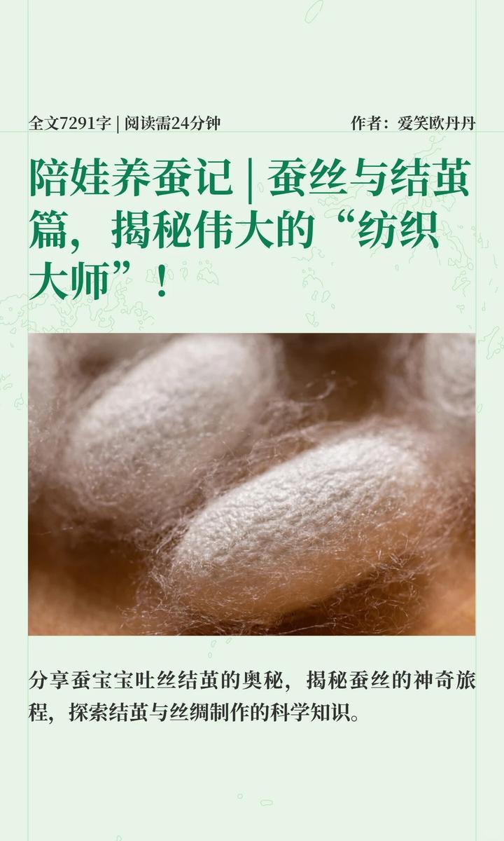 带娃了解蚕丝与结茧,揭秘伟大的”纺织大师“! - 知乎