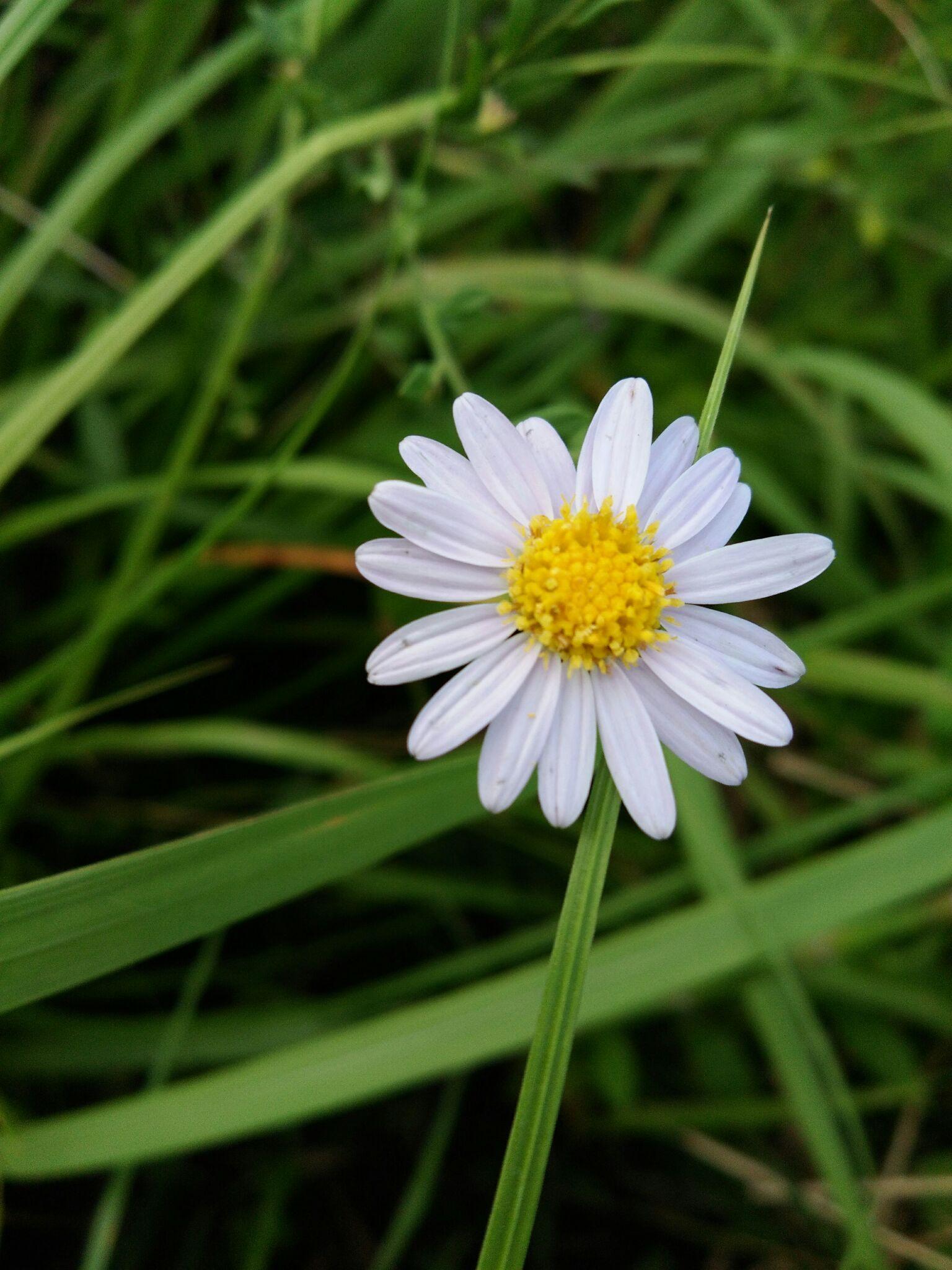 你手机里有什么好看的图片