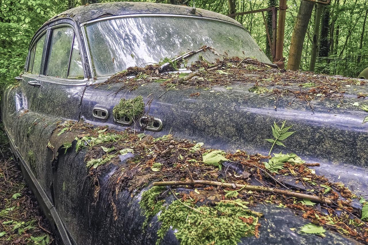 4. 丁桥公墓周边