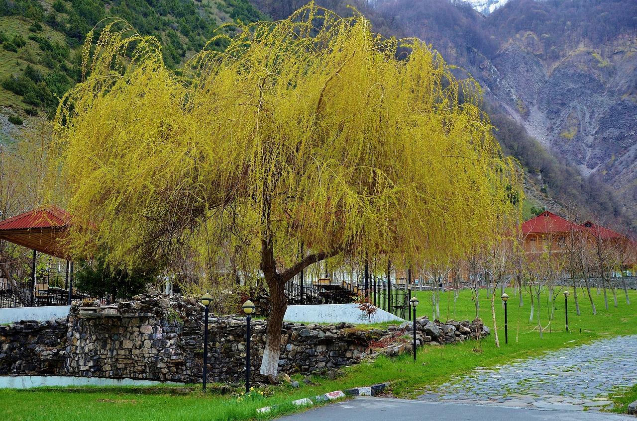 苏州富强小区在哪里