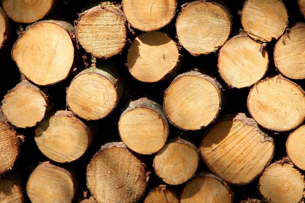 吊顶枝骨架如何算