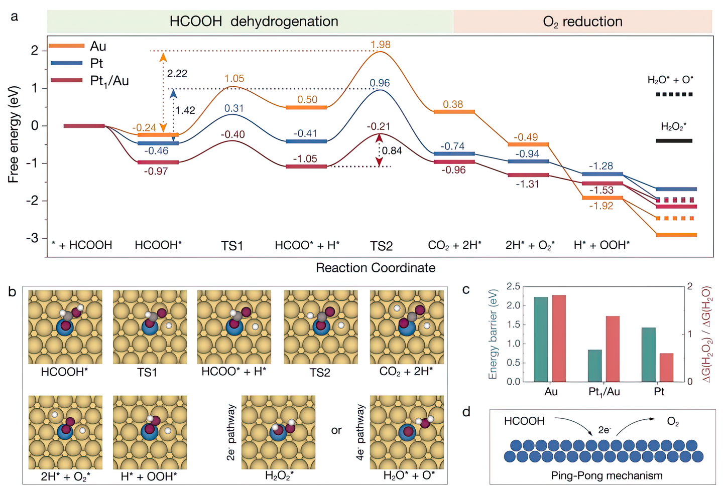 PtAu纳米合金催化HCOOH氧化制备H2O2(Pt助力HCOOH脱H,PtAu实现100%的H2O2) - 知乎