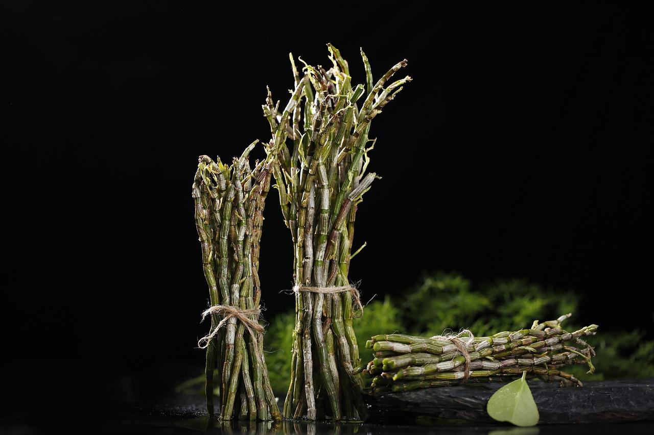 石斛如何在家庭里养殖