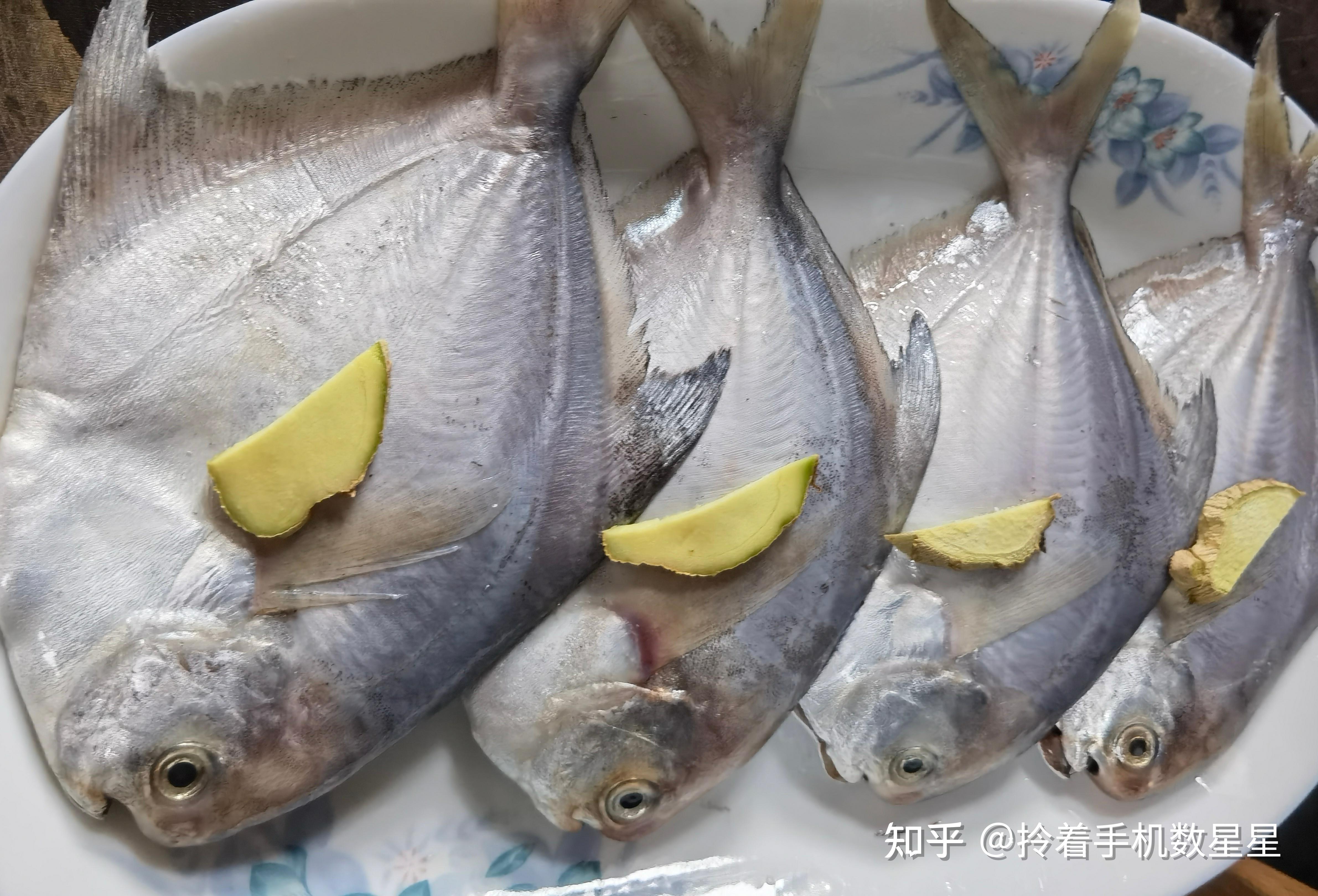 家常菜——清蒸小鲳鱼(仓鱼)几分钟最合适? - 知乎