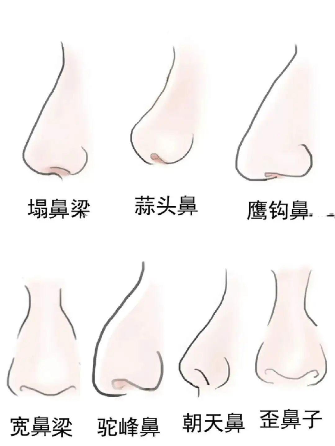 “蒜头鼻”对颜值影响有多大?看完这几组对比图后,你就知道了 - 知乎