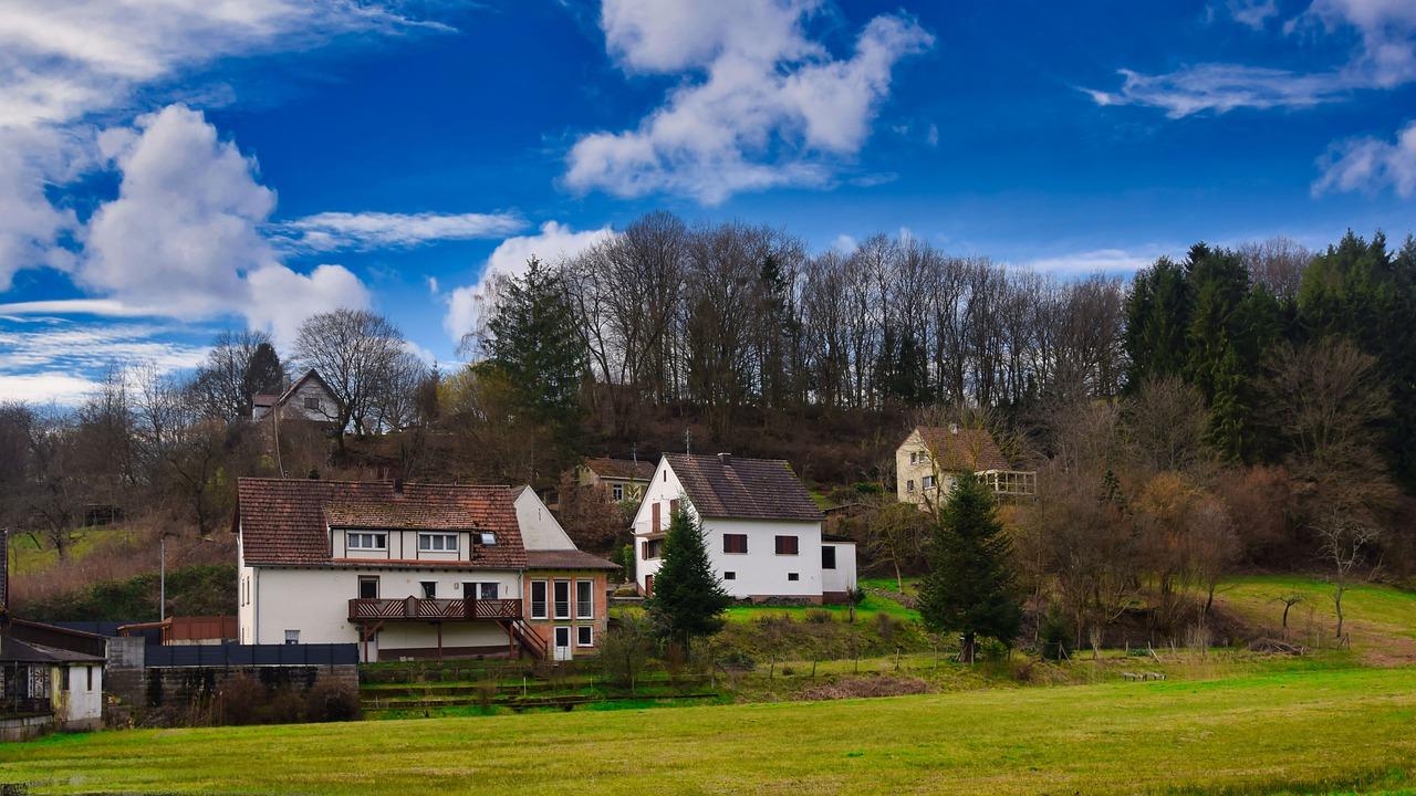 竹柏是什么意思