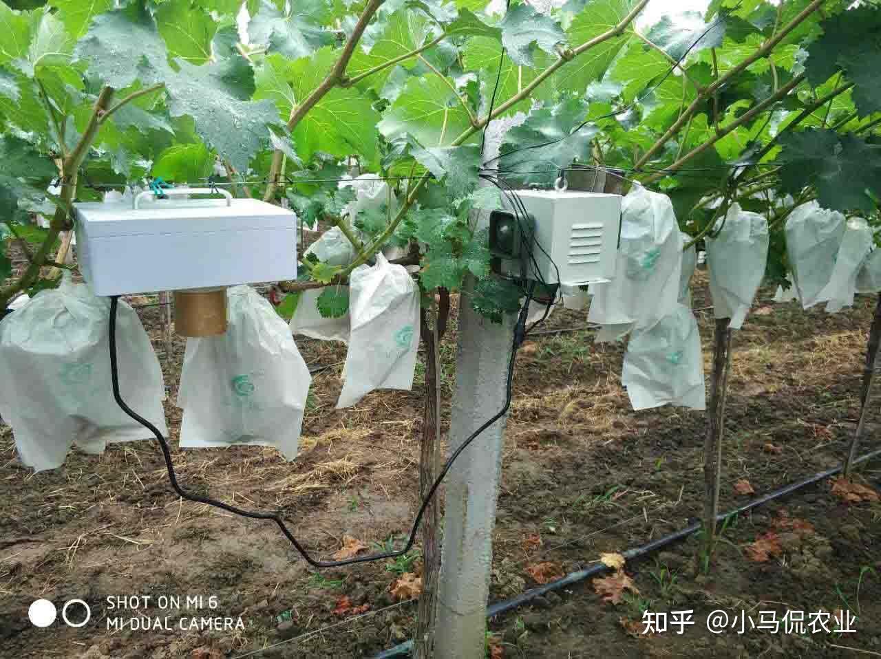 农村致富网做工艺品很赚钱可靠吗知乎的简单介绍