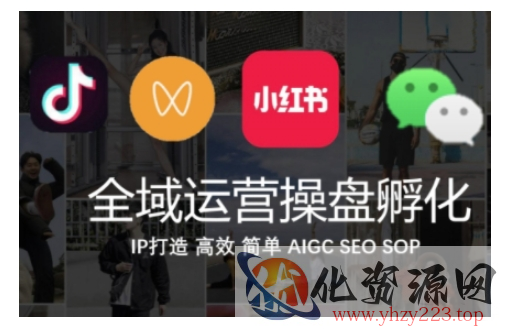 全域运营操盘(抖音+私域+小红书)，IP打造高效简单