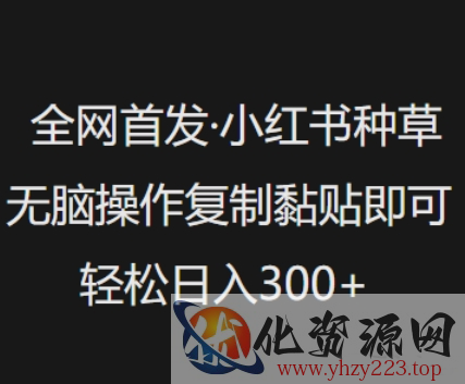 全网首发，小红书种草无脑操作，复制黏贴即可，轻松日入3张
