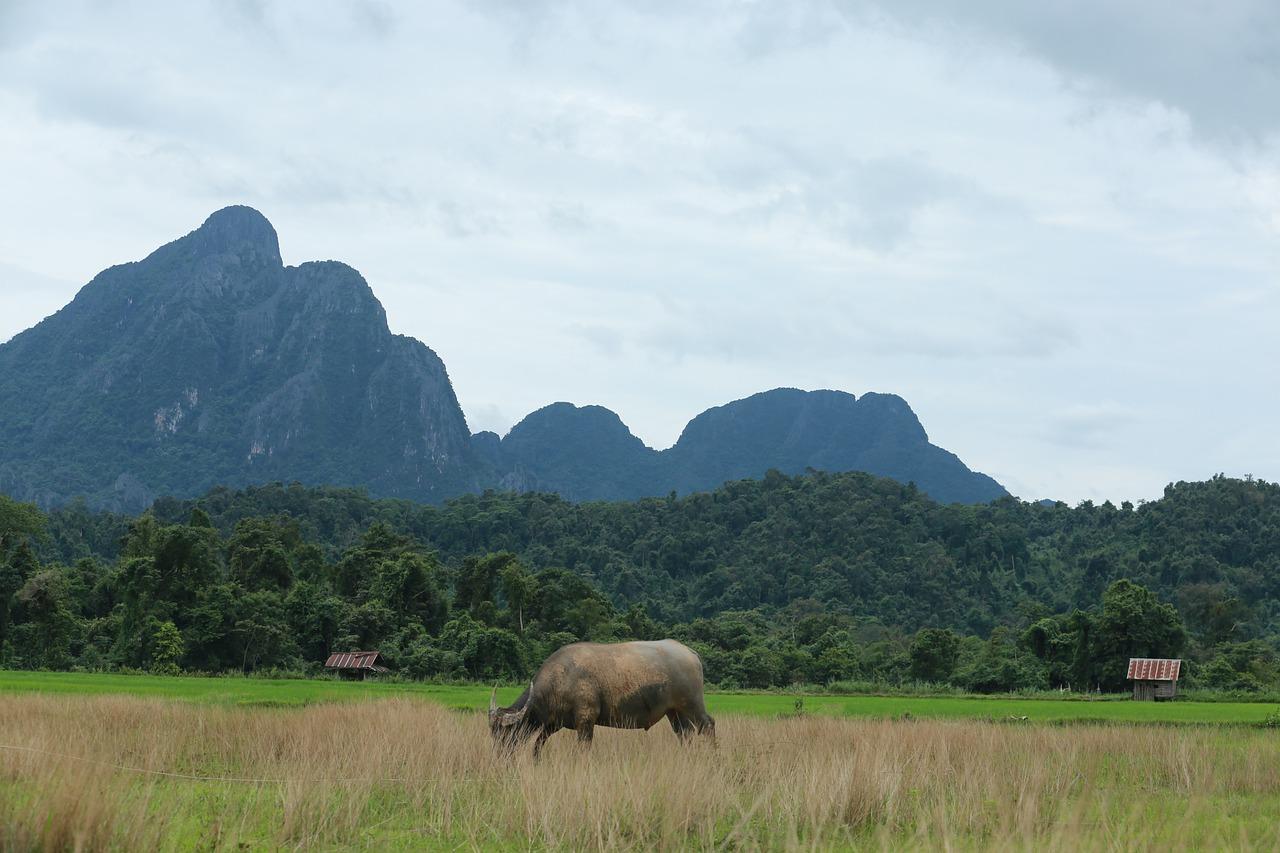2. 汤池温泉探秘