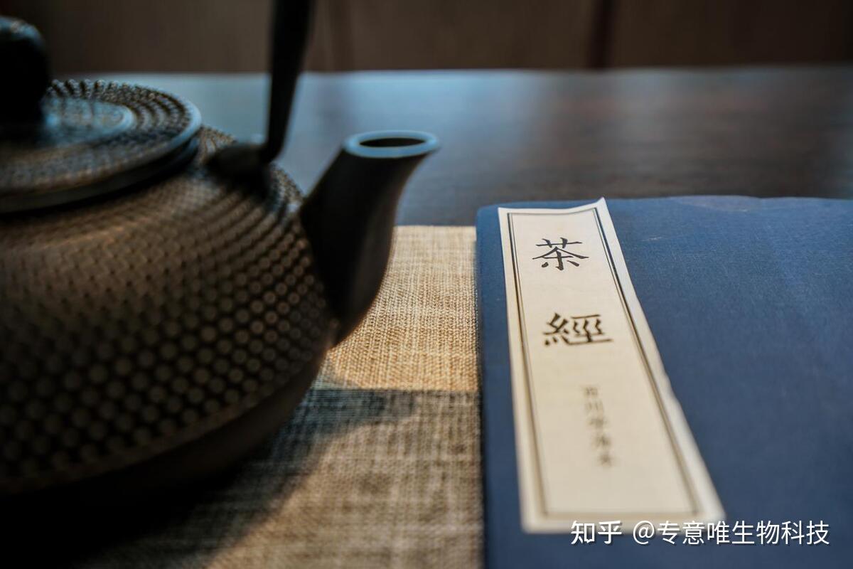 中医与茶疗:茶疗“治未病”在养生保健中的应用价值 - 知乎