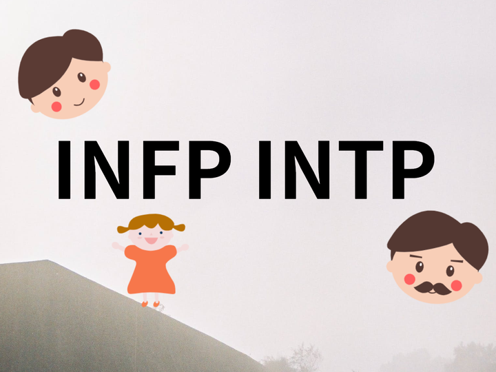 infp intp適合的工作