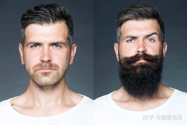 胡子竟能知健康?胡子出现这些变化说明身体有状况 - 知乎
