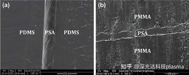 5 分钟室温搞定！如何实现PDMS的高压强键合？—— 微流控器件制造关键技术突破 - 知乎