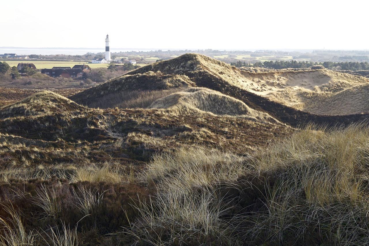 海东岛旅游胜地