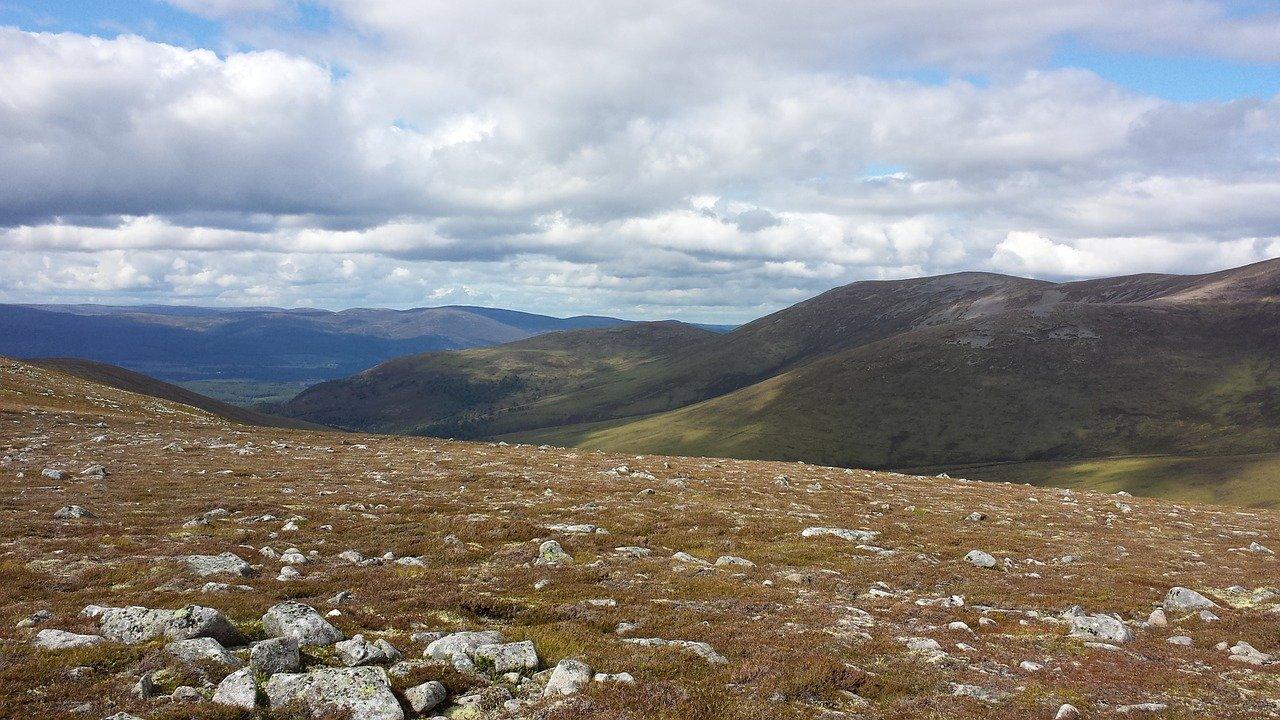 产业区块投资优势