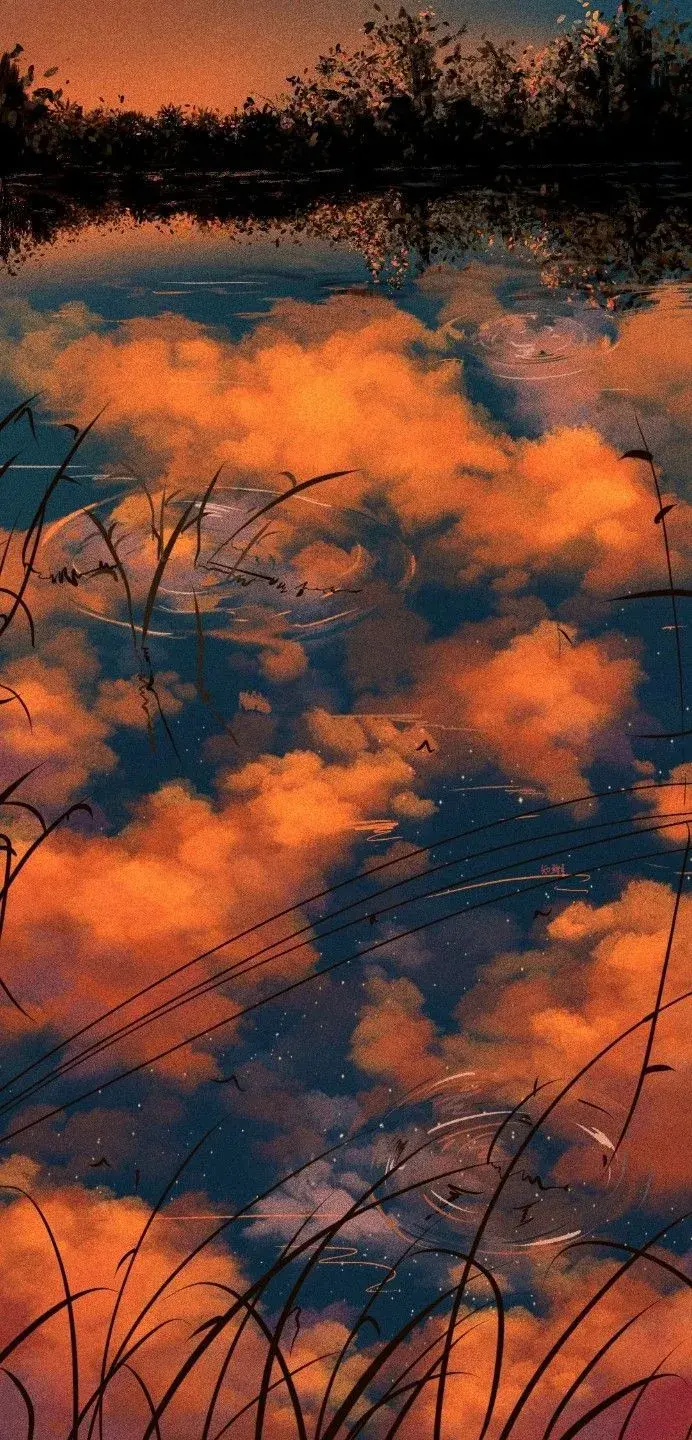 有什么手机壁纸可以让你捧一年