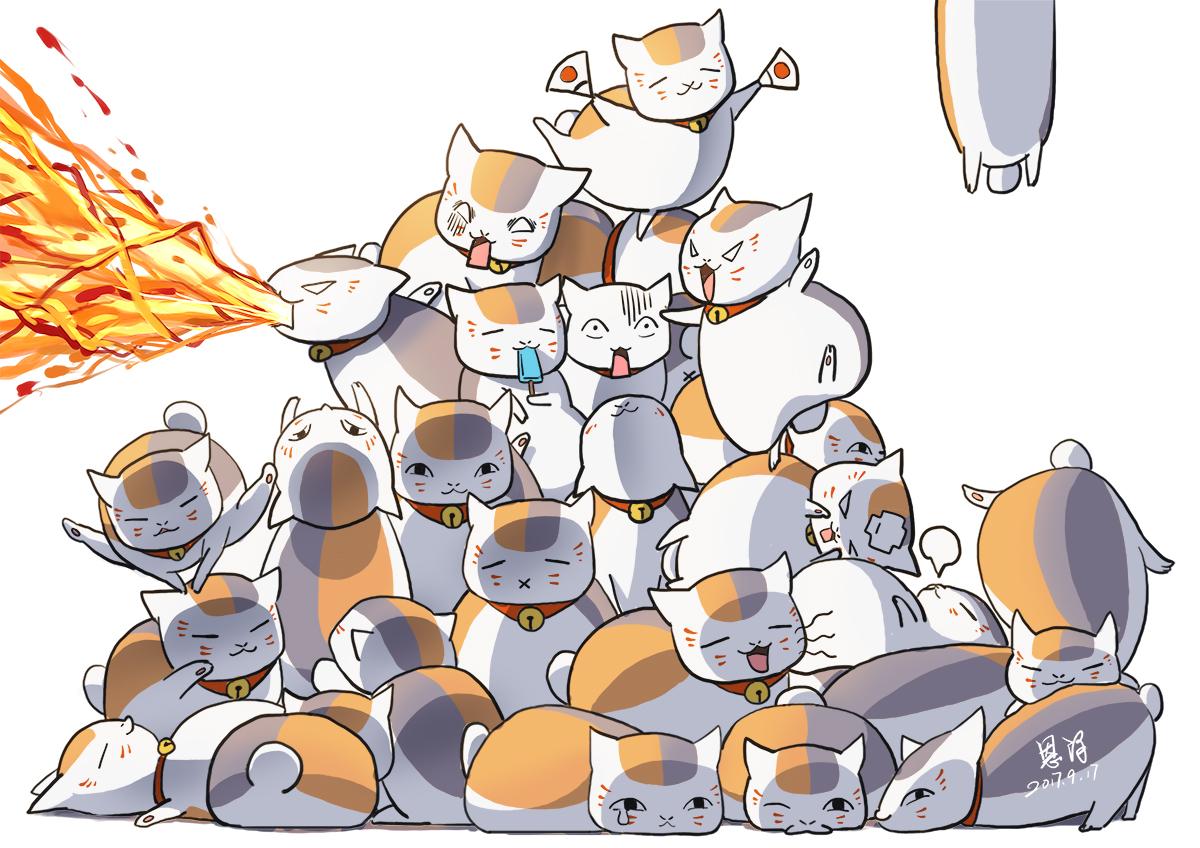 有哪些可爱的猫咪壁纸? - 知乎